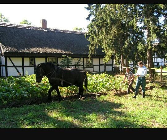 Agroturystyka Pod Debami W Klukach Smołdzino Eksteriør bilde