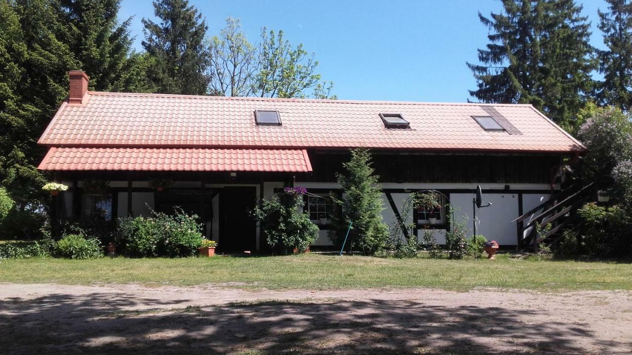 Agroturystyka Pod Debami W Klukach Smołdzino Eksteriør bilde