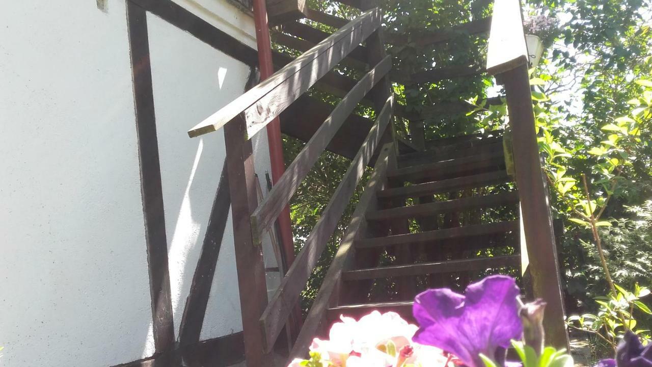Agroturystyka Pod Debami W Klukach Smołdzino Eksteriør bilde